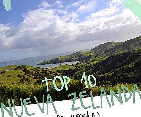 NEW ZEALAND (NORTH ISLAND): THE BEST