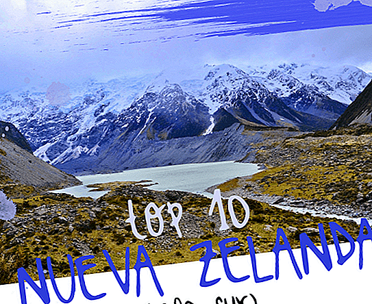 NEW ZEALAND (SOUTH ISLAND): THE BEST