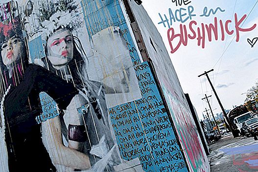 WHAT TO DO IN BUSHWICK: URBAN ART ROUTE IN NEW YORK