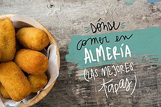 RESTAURANTS WHERE TO EAT IN ALMERIA: THE BEST COVERS