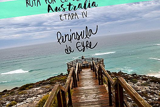 ROADTRIP FOR THE SOUTHWEST OF AUSTRALIA. STAGE 4: EYRE PENINSULA