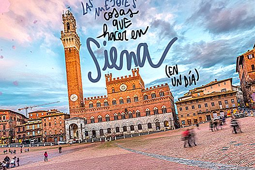 A DAY IN SIENA: WHAT TO SEE AND DO