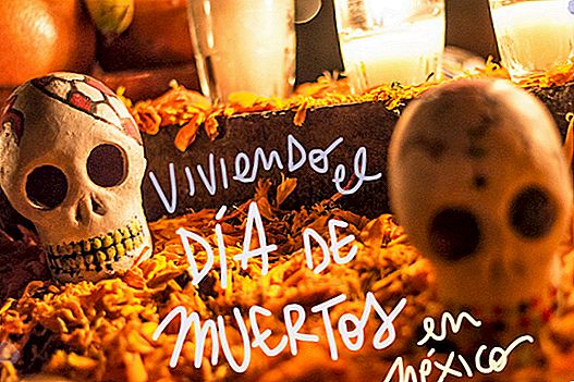 LIVING THE DEAD DAY IN MEXICO
