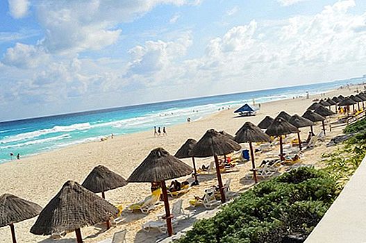 10 wichtige Dinge in Cancun zu tun
