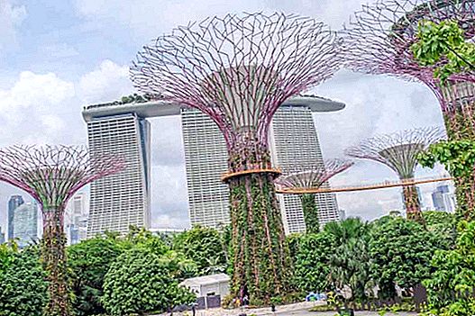 10 أماكن أساسية لرؤية في سنغافورة