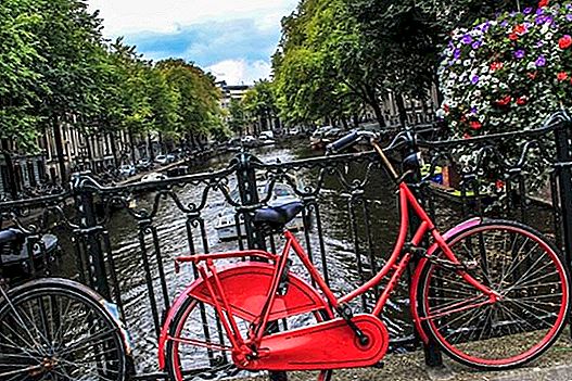 5 wesentliche Besuche in Amsterdam