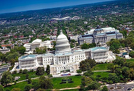 50 choses à voir et à faire à Washington DC
