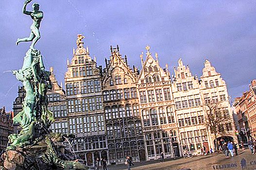 Antwerp in one day: the best route