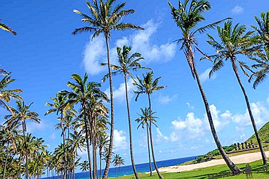 Anakena, one of the best beaches in the world