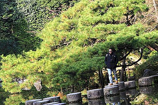 Ścieżka filozofii w Kioto