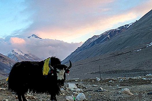 Базовый лагерь Эвереста в Тибете