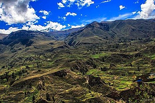 Cruz del Cóndor v údolí Colca