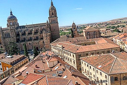 Übernachtungsmöglichkeiten in Salamanca: beste Nachbarschaften und Hotels