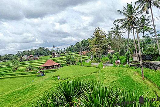 Where to stay in Ubud
