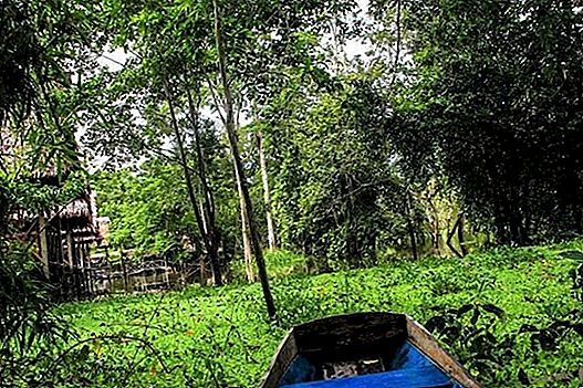 De Amazone van Iquitos