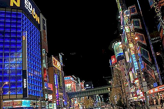 Réveillon du Nouvel An à Tokyo
