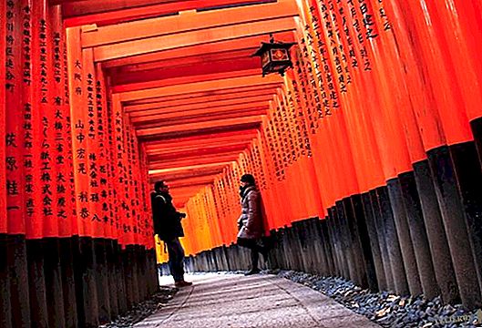 Fushimi Inari-Taisha och Nara
