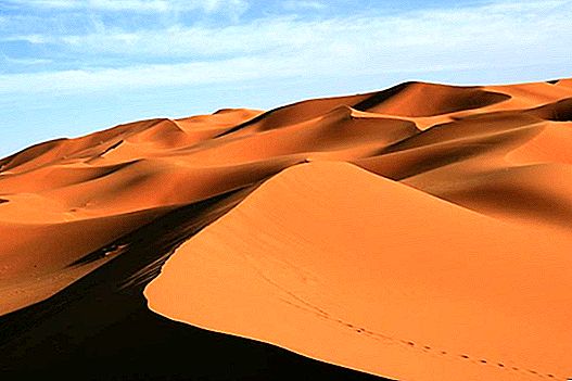 أفضل رحلة صحراوية من مراكش