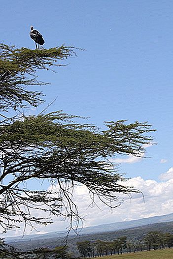 Lago Nakuru