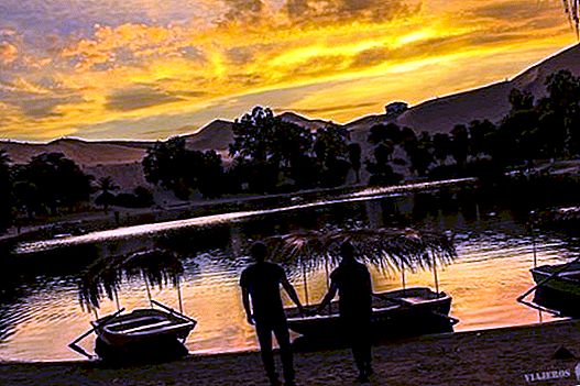 The Ballestas Islands and the Huacachina Oasis