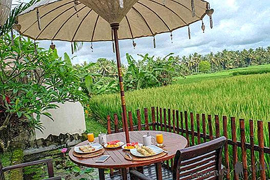 The best coffee shops in Ubud
