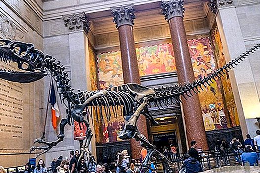 10 museum terbaik di New York (gratis atau berbayar)