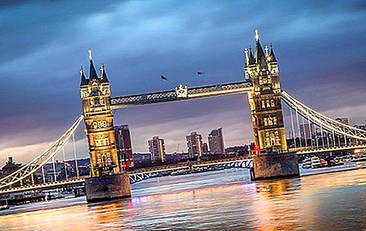 أفضل 10 جولات ورحلات في لندن
