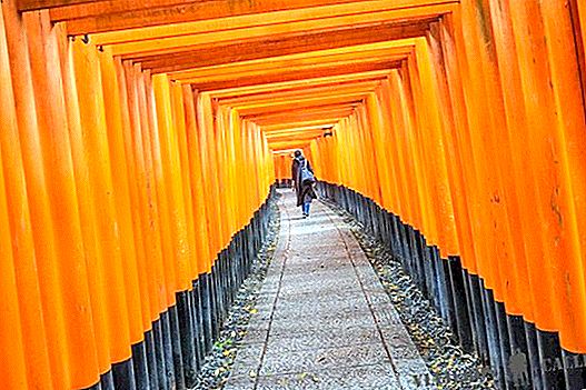 5 najboljših izletov in izletov v Kjotu