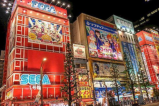 Die 5 besten Touren und Ausflüge in Tokio