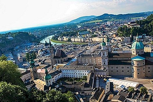 Os 5 melhores passeios e excursões em Viena