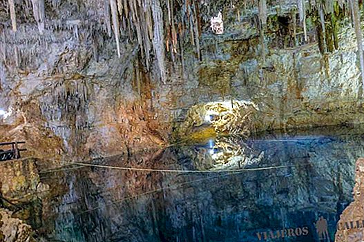 De bedste cenoter af Valladolid i Yucatán