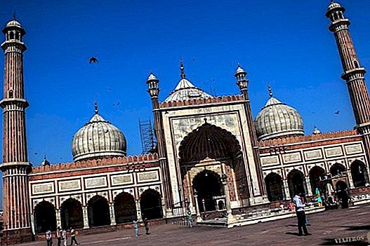 The best free tours in Delhi for free in Spanish