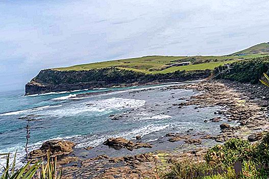 Places to see in Los Catlins