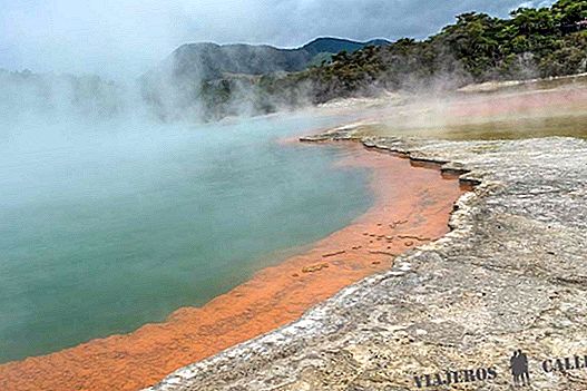 Essential places to see in Rotorua