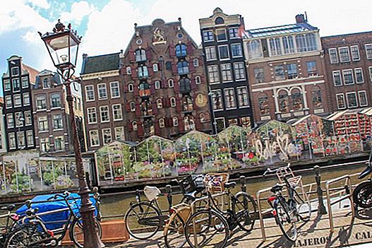 Amsterdam in one day: the best route