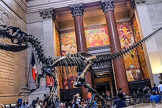 Museum Sejarah Alam di New York