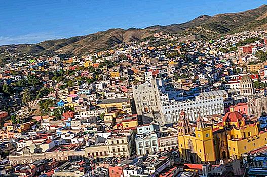 Apa yang harus dilakukan di Guanajuato