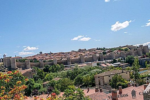 What to do in Ávila in one day