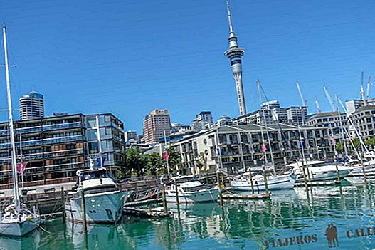 What to see in Auckland in one day