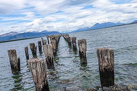 What to see in Puerto Natales in Chile