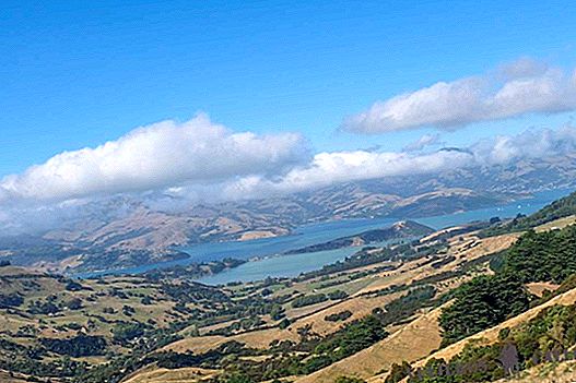 What to see and do in the Peninsula of Banks and Akaroa