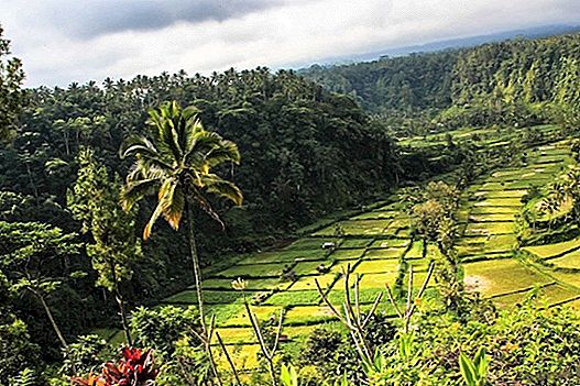Tour Bali with a guide in Spanish by car from Ubud