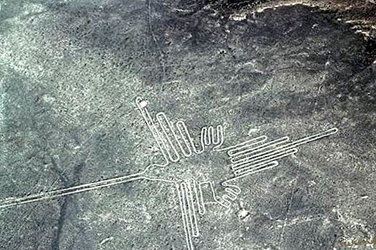 Terbang ke Nazca Lines dan Cauchilla Cemetery