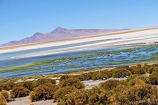 San Pedro de Atacama'dan Tara Salar Turu
