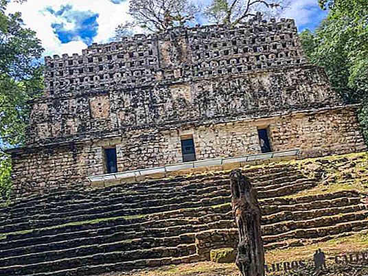 جولة Yaxchilan و Bonampak من Palenque