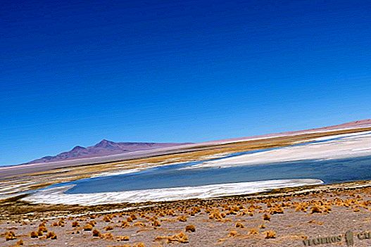 Ture i San Pedro de Atacama i Chile