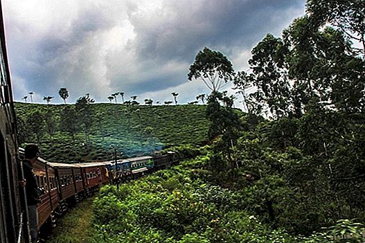 Train from Ella to Nuwara Eliya