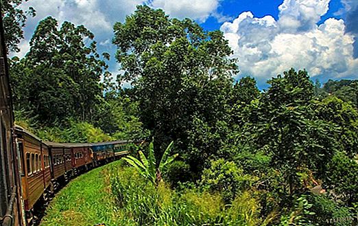 Vlak z Nuwara Eliya do Kandy