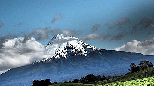 Visite o Monte Taranaki e Wellington em um dia